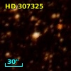 HD 307325