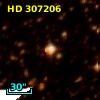HD 307206