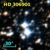 HD 306901
