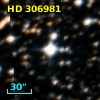 HD 306981