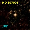 HD 307001