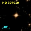 HD 307019