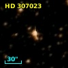 HD 307023