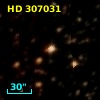 HD 307031