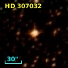 HD 307032