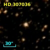 HD 307036