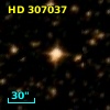 HD 307037