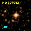 HD 307043