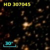 HD 307045
