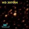 HD 307064