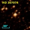 HD 307074