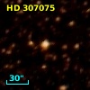 HD 307075