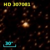 HD 307081