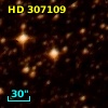 HD 307109