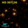 HD 307136