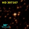 HD 307167