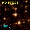 HD 307175