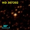 HD 307202
