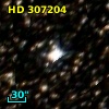 HD 307204