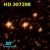 HD 307208