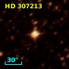HD 307213