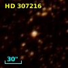 HD 307216