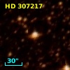 HD 307217