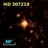 HD 307219