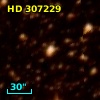 HD 307229
