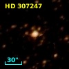HD 307247