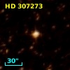 HD 307273