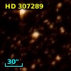 HD 307289