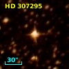 HD 307295