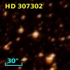 HD 307302