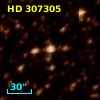 HD 307305
