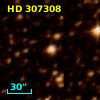 HD 307308