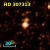HD 307313