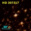 HD 307317