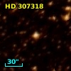 HD 307318