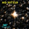 HD 307319