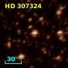HD 307324