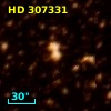 HD 307331