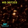 HD 307333