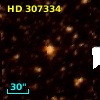 HD 307334