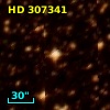 HD 307341