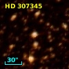 HD 307345
