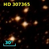HD 307365