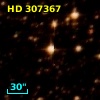 HD 307367