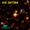 HD 307384