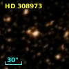 HD 308973